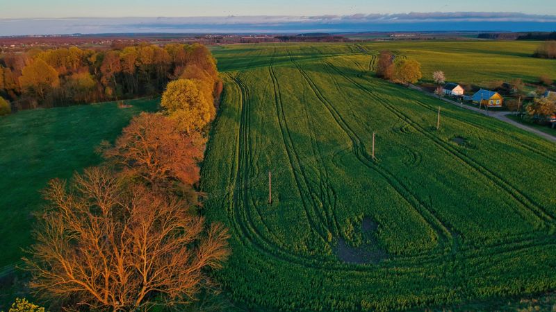 Акимат Алматы собирался незаконно изъять землю за 800 млн. Не получилось