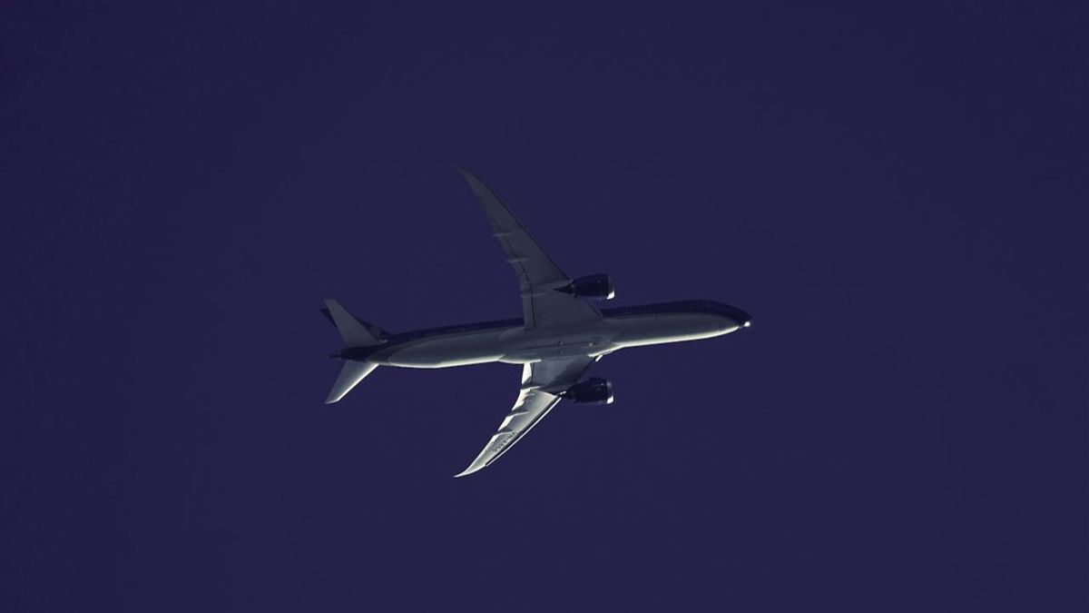 Самолет в воздухе