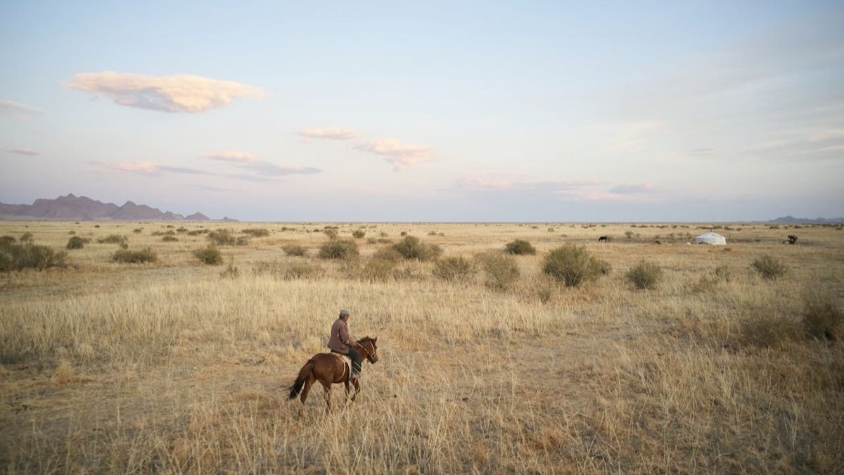 Пастух на лошади в степи