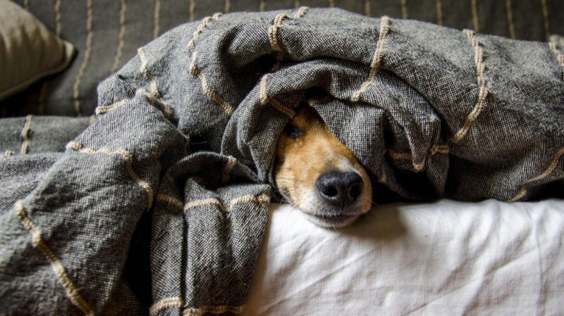 Новый налог предложили ввести в Казахстане