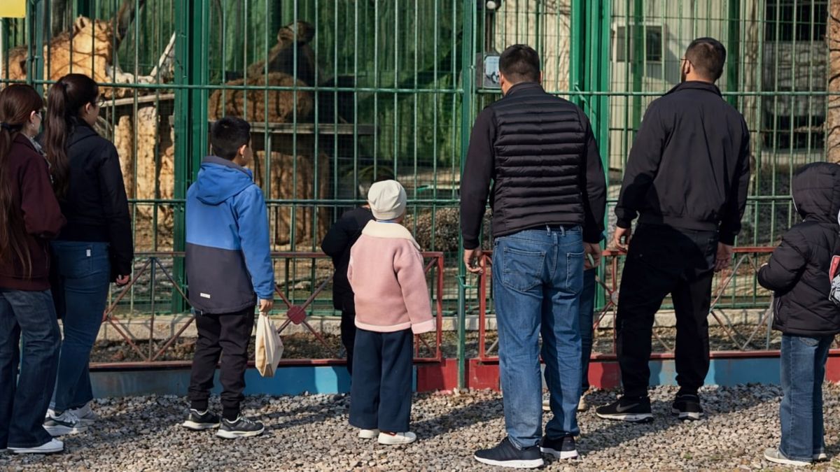 Семей, зоопарк, львы, живодеры
