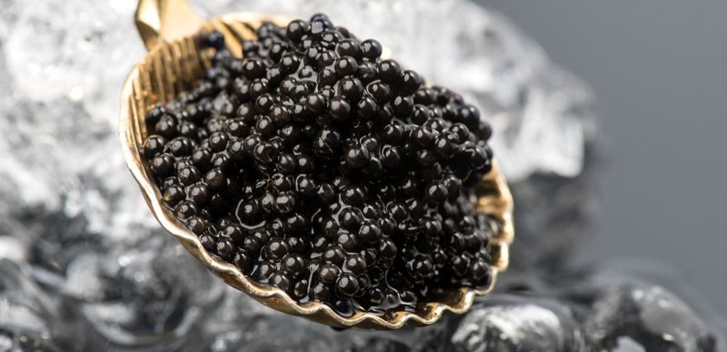 147 млн хотел потратить рыбзавод в Атырау на икру, которую должен производить