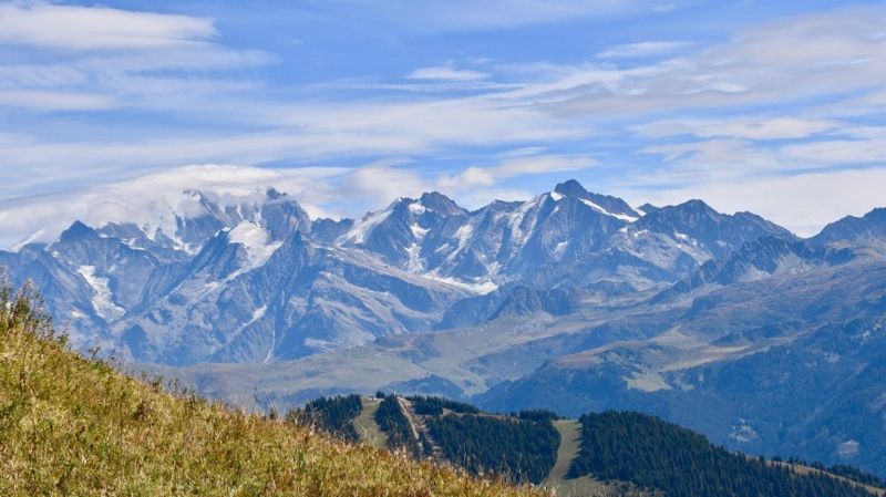 Землю на 2 млрд тенге незаконно отдали частнику в предгорьях Заилийского Алатау