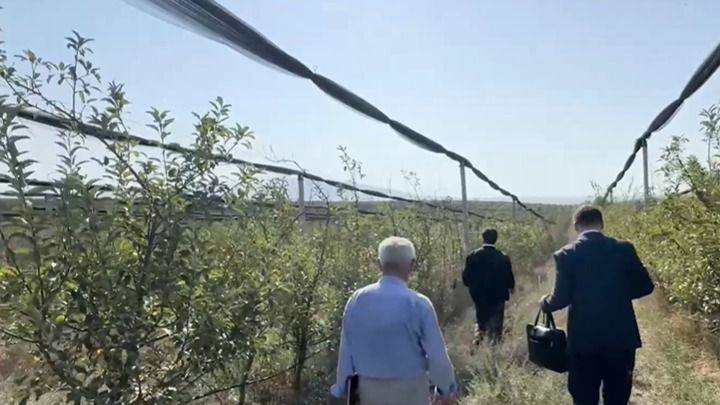 Земли на 1 млрд арестовали по делу о яблоневых садах в Шымкенте: раскрыты детали