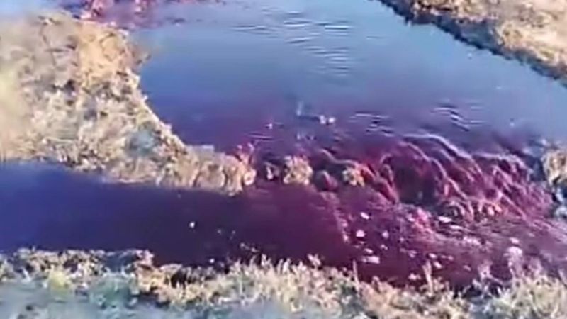 "Кровавые реки" залили Щучинск, но ответственных не нашли