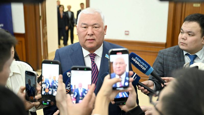 Споры только "на русском": пост депутата Абенова о собаках возмутил казахстанцев