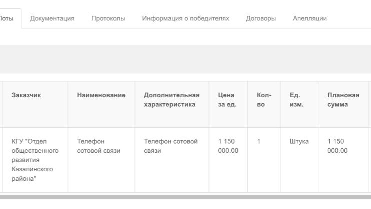 КГУ &laquo;Отдел общественного развития Казалинского района&raquo; 