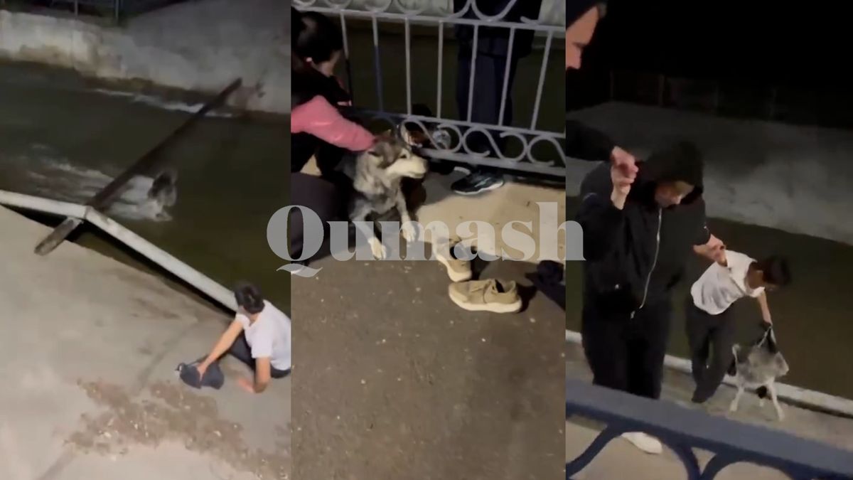 Кадры видео