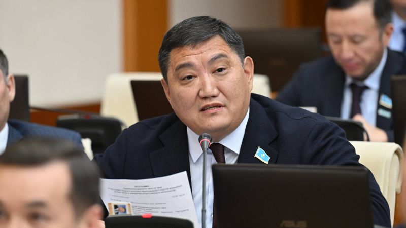 "Дешевым популизмом" назвали критику депутата программы "Болашак"