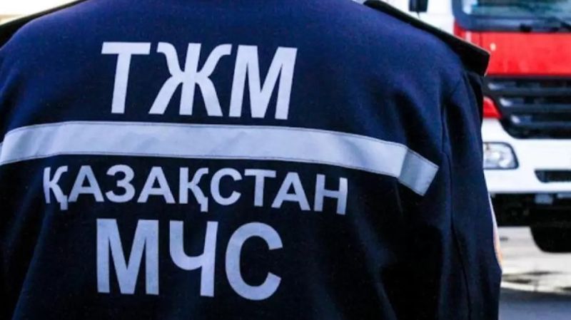 Кошка застряла в облицовке дома в Астане: на помощь пришли спасатели