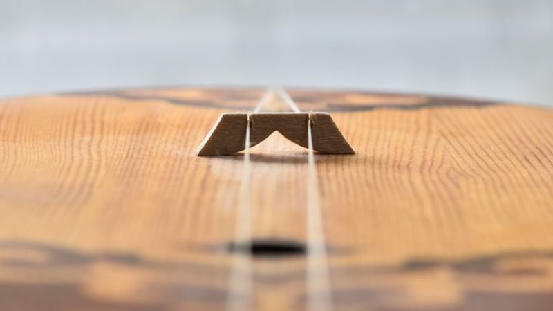 В Казахстане официально разрешат брать домбру в салон самолета