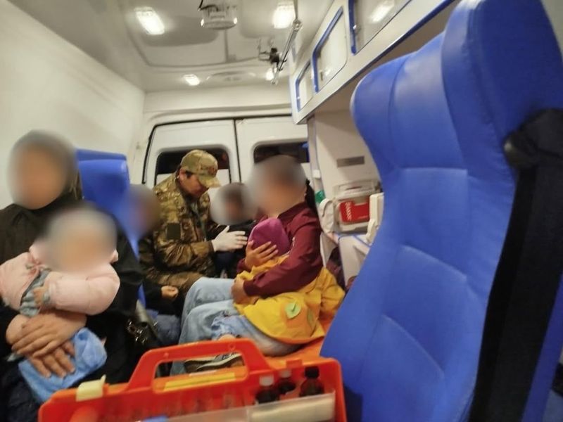 Мать и пятеро детей попали в ДТП в Павлодарской области из-за лошади