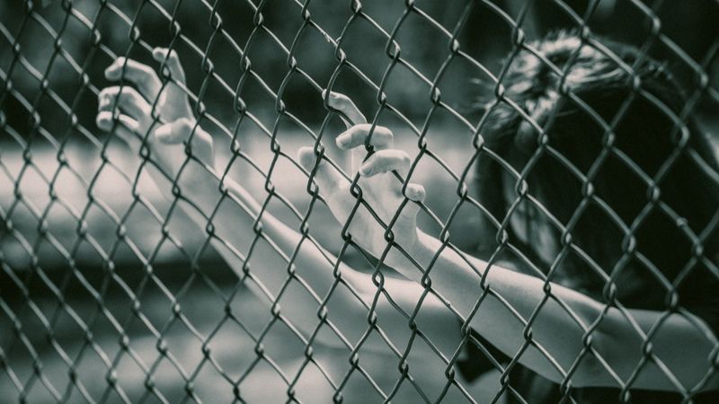 Заявившая о домогательствах девушка погибла в ИВС Шымкента от отравления