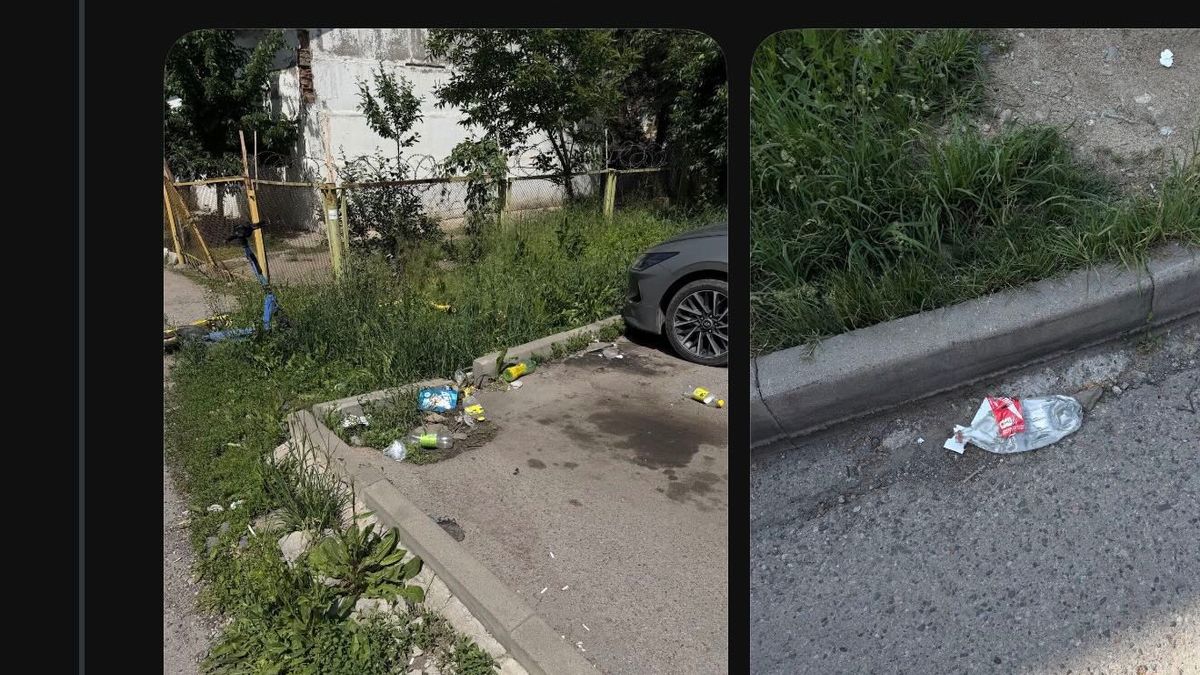 Мусор, акимат, ИИ