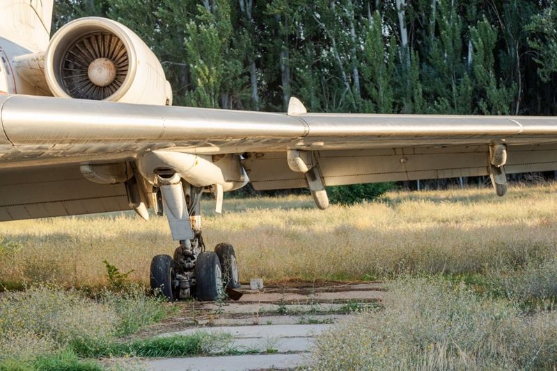 Самолет приземлился в кусты в Алматинской области