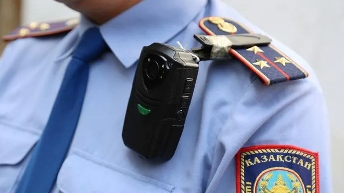 полиция, МВД, полицейский
