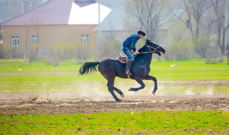 Подросток погиб во время игры в кокпар в Акмолинской области 