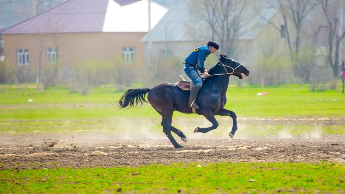 Кокпар