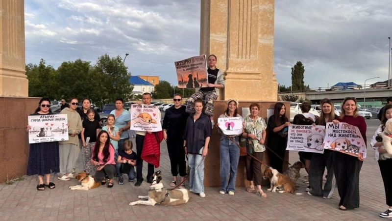 Жители Атырау вышли на акцию в защиту бездомных животных