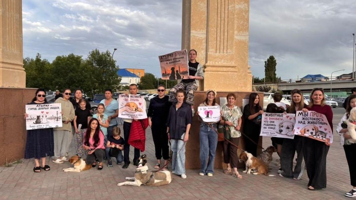 Акция в защиту бездомных животных