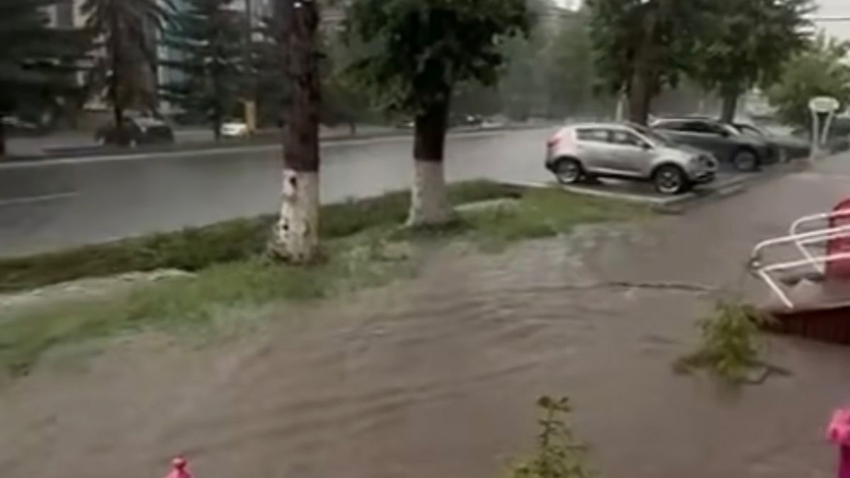 кадр из видео