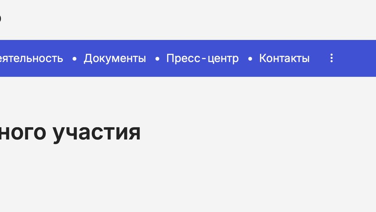 бюджет, Риддер