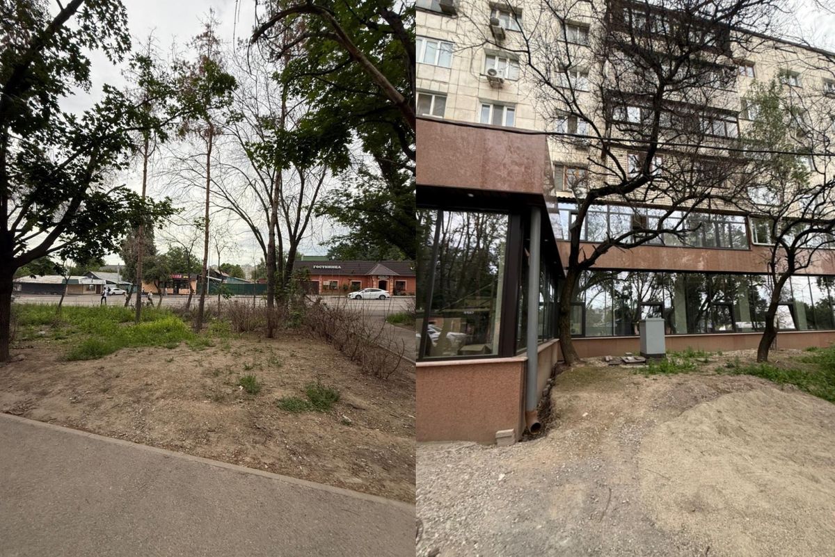 деревья, акимат, Алматы