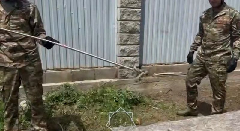 Змея заползла во двор дома в Алматинской области