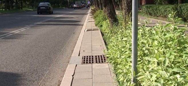 Алматинцы запустили петицию против закрытия арыков