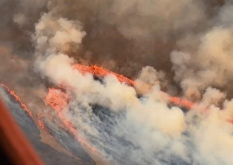 Степной пожар под Степногорском тушили 300 человек
