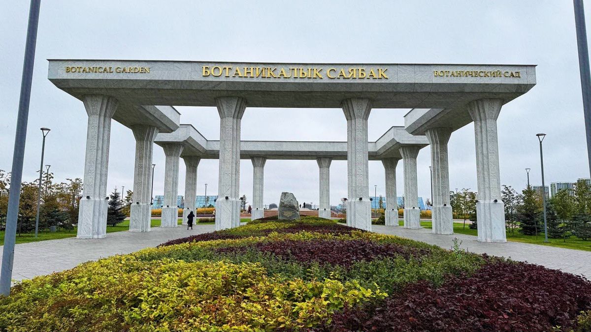 Астана, Ботанический сад, осы, насекомые, укус