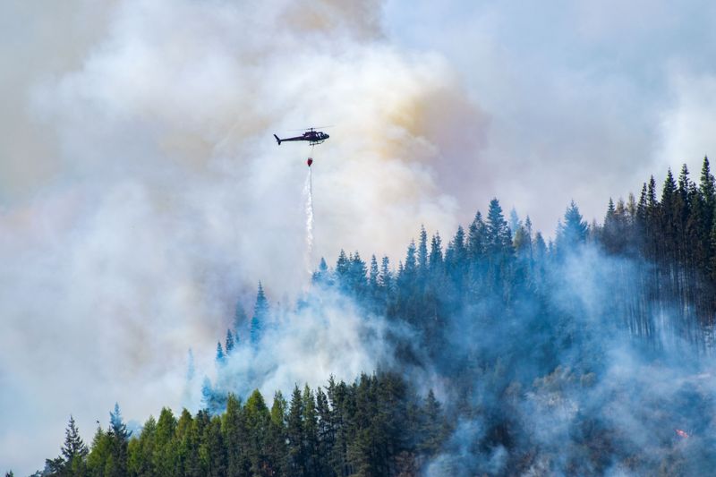 Тушение пожара «Семей орманы» с вертолетов стоит 20 млн тенге в час