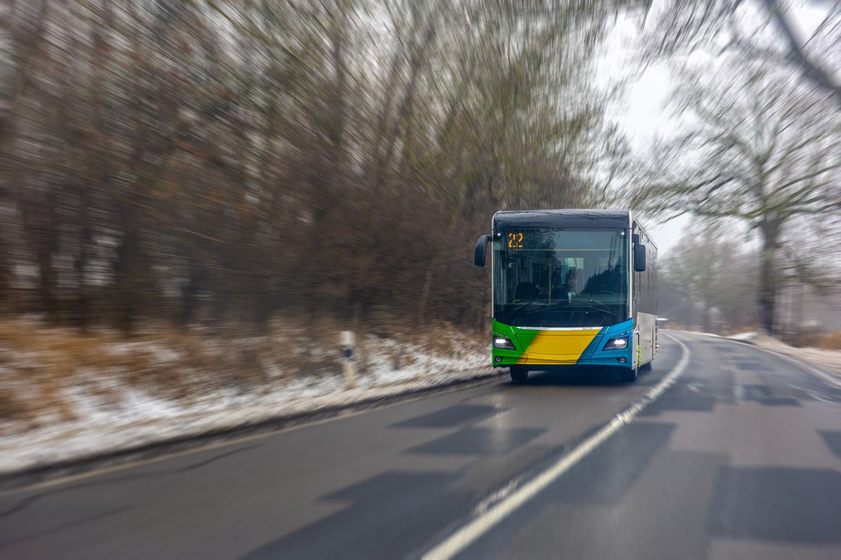 Автобус, парк, городской транспорт