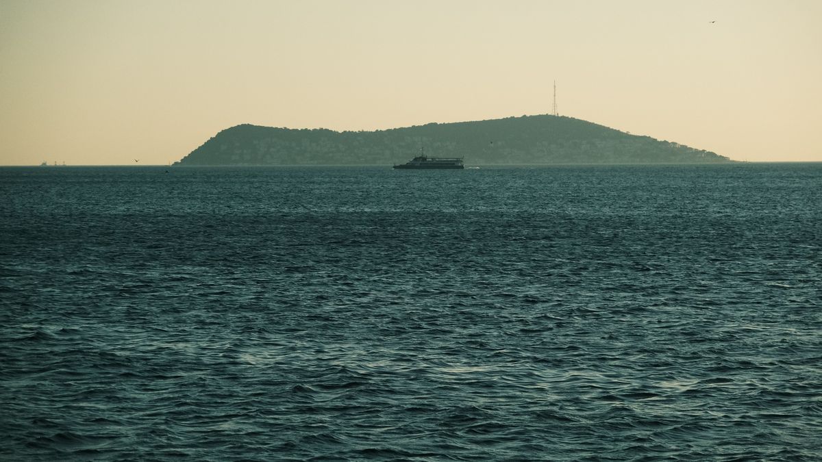 спасатели, остров