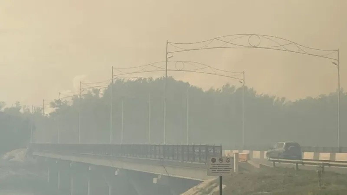 Уральск, пожары, лес
