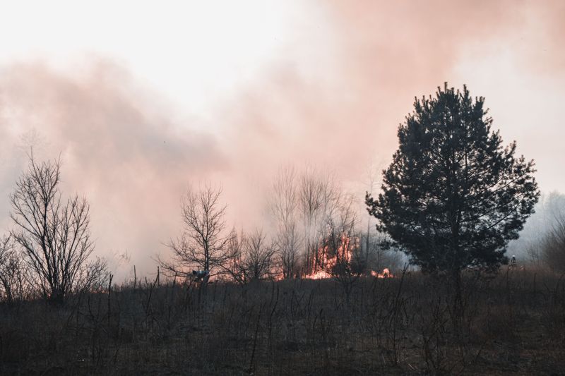 Пожар произошел в Баянаульском нацпарке
