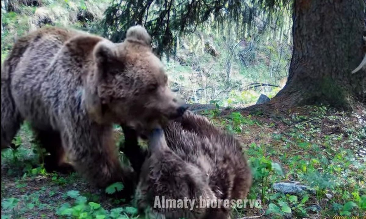 кадр из видео