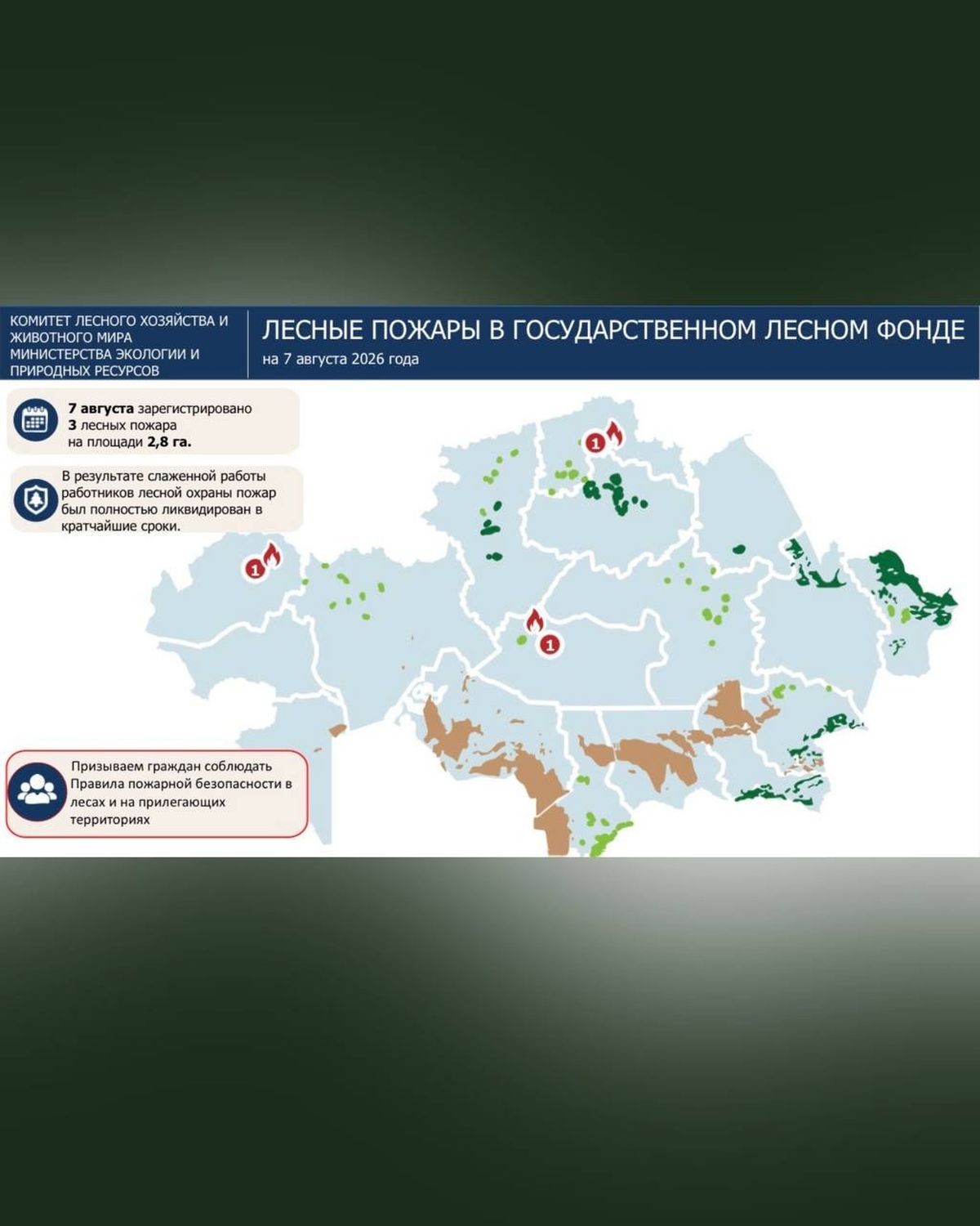 лесные пожары