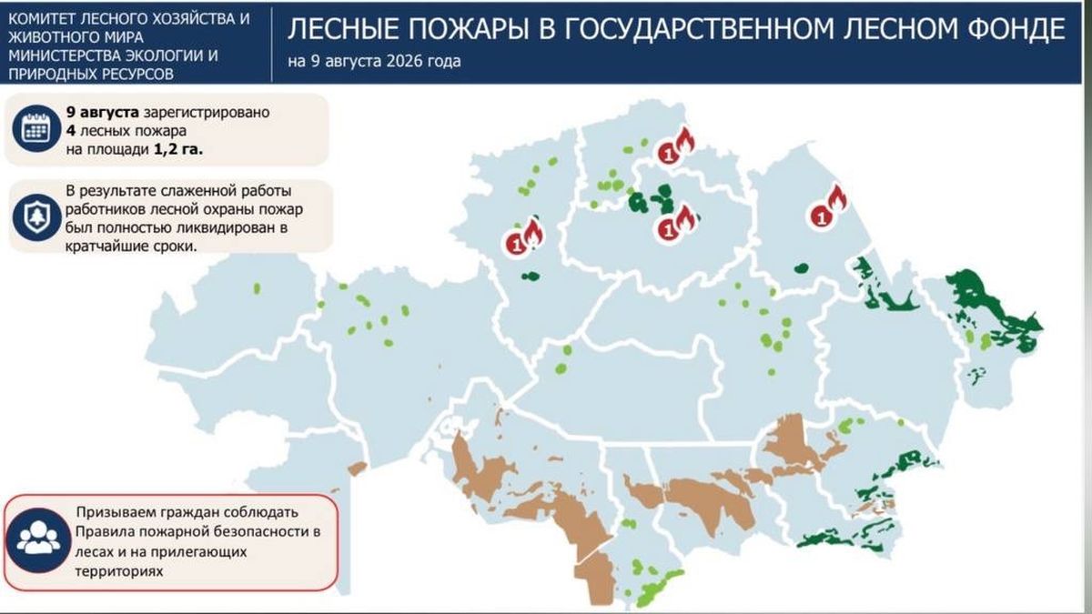 пожары