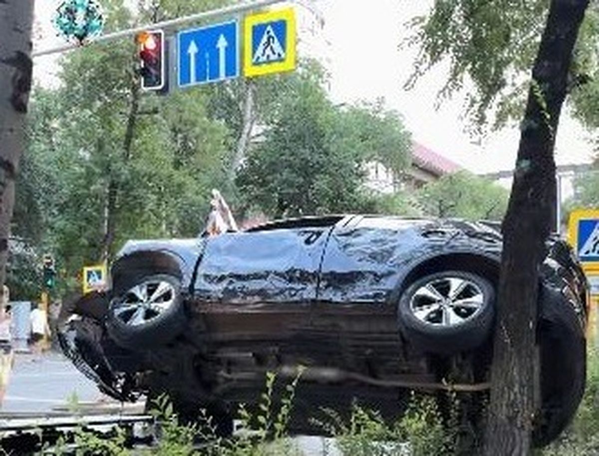 ДТП, дерево, Алматы