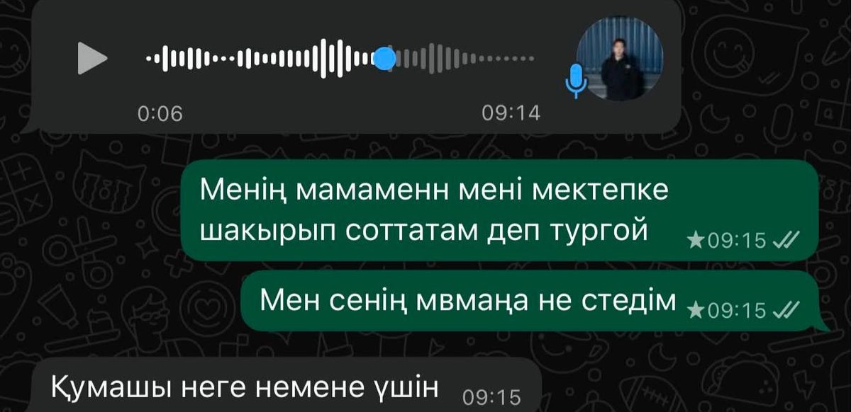 Ясмина, школьница, Алматинская область, суицид