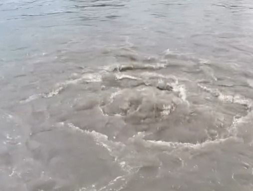 Слив воды в Есиль напугал астанчан