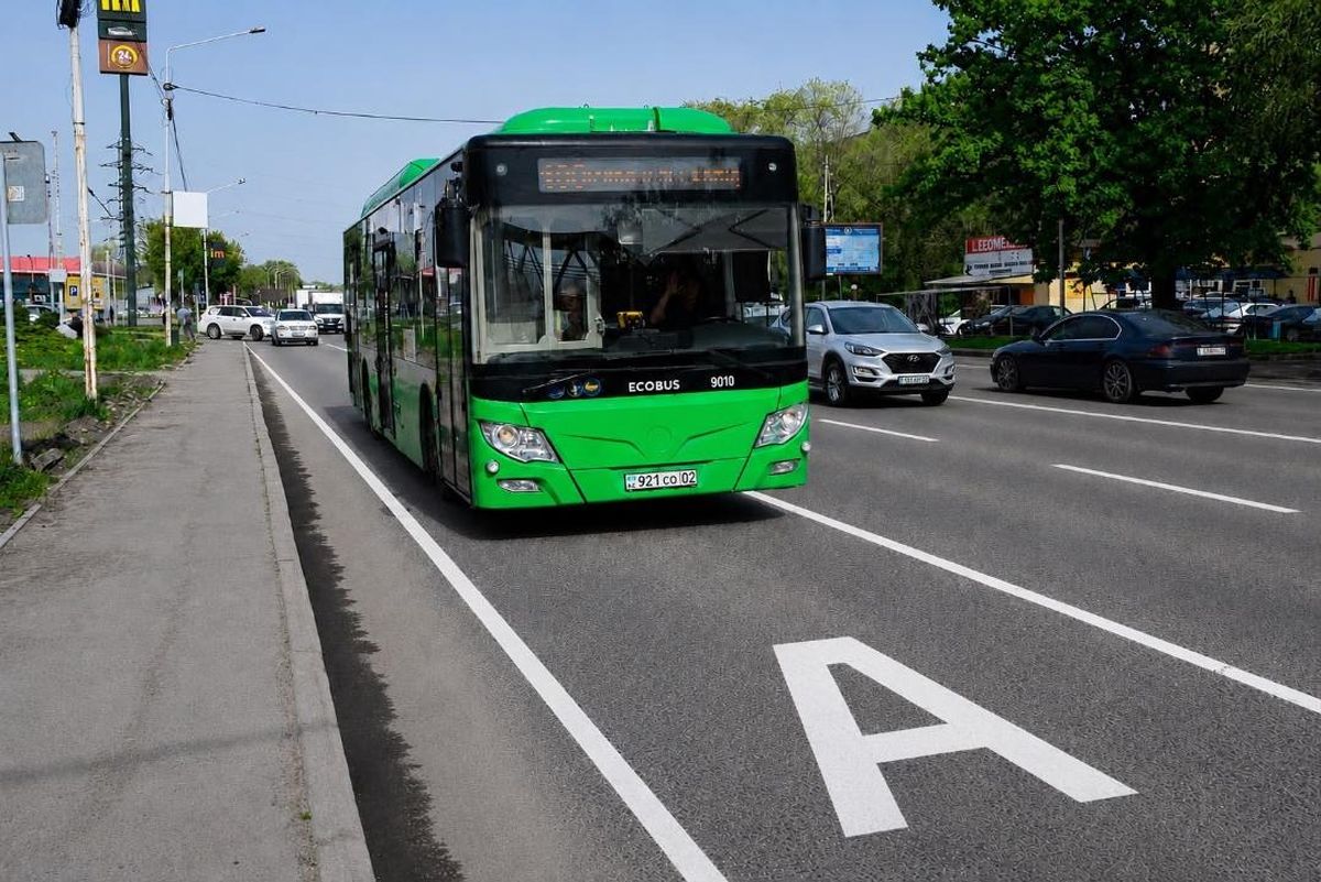 Алматы, автобус, полоса, Саина