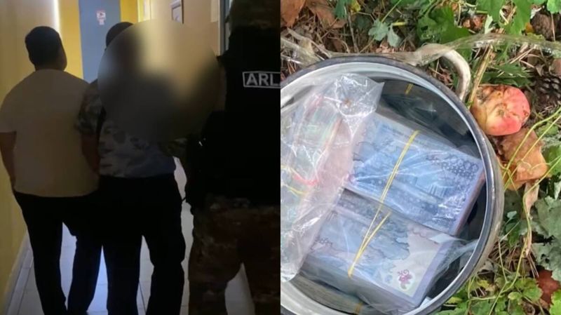 Кастрюлю с 24 млн тенге нашли под яблоней в Павлодаре