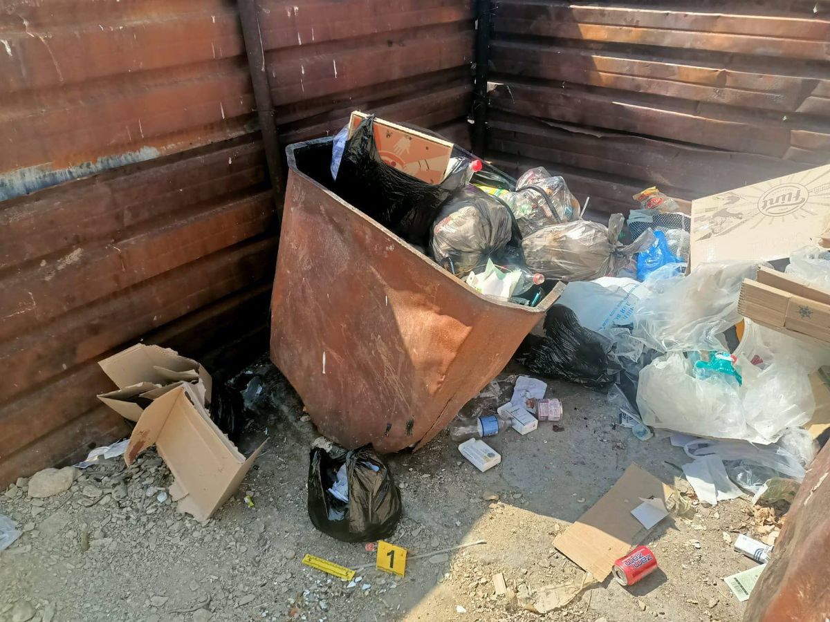 Есть еще дети: что известно о маме найденного в мусорке малыша в Казахстане