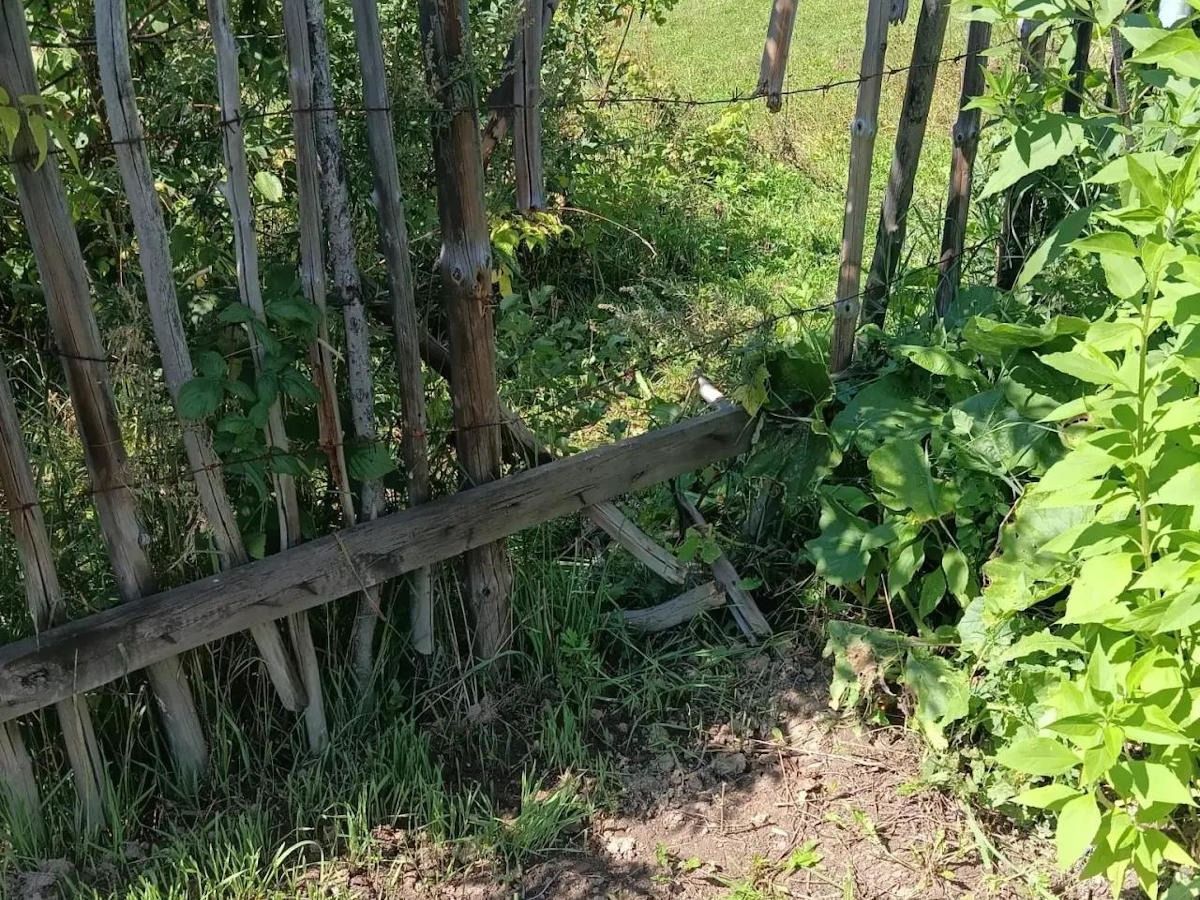 Сломанный забор