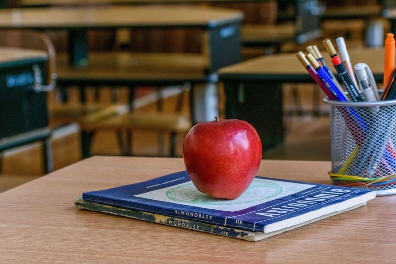 Взрослые подрались в школе в Туркестанской области