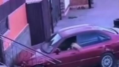 Кошка "угнала" автомобиль в Туркестане