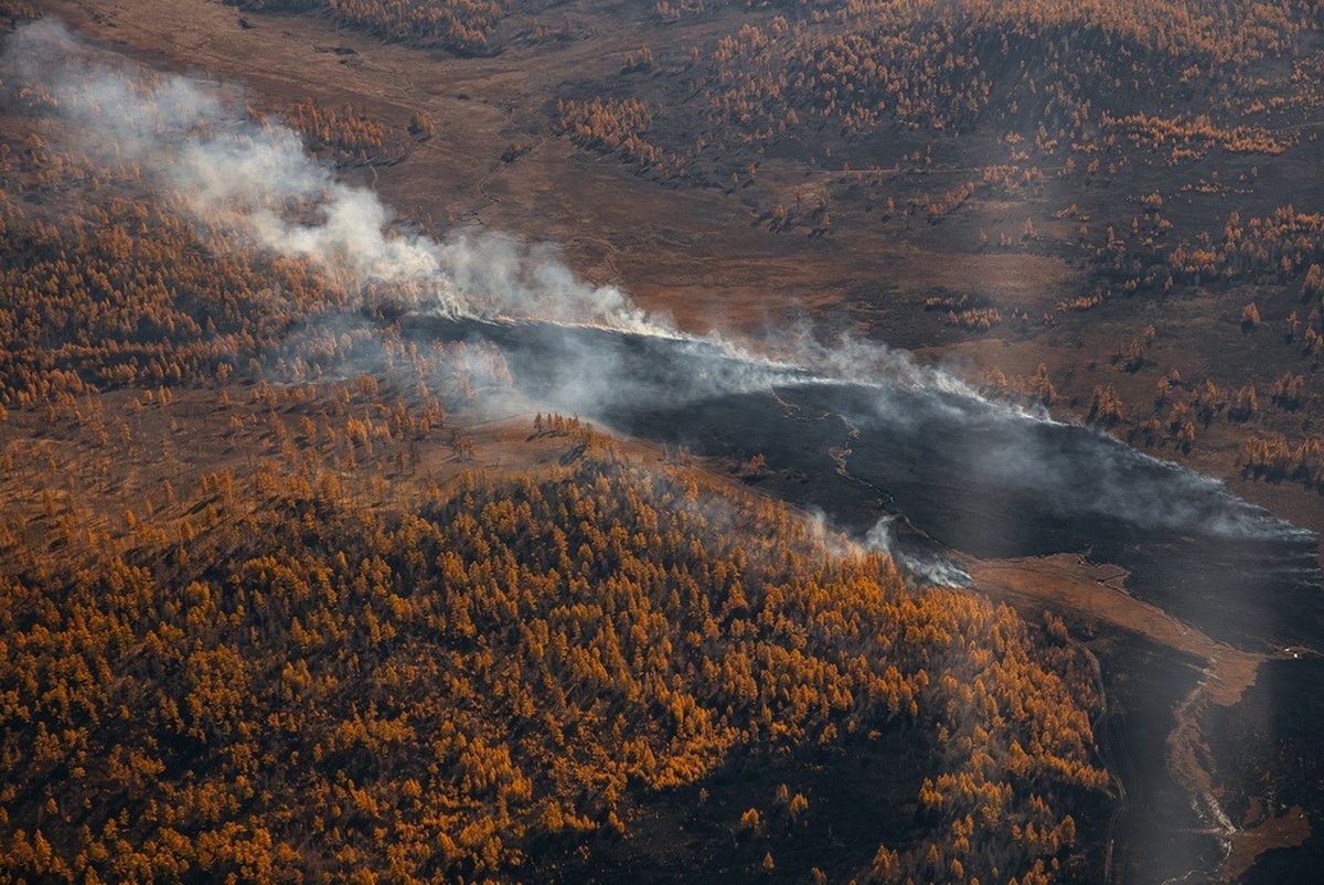 Опасный пожар перекинулся на Баянаульский нацпарк