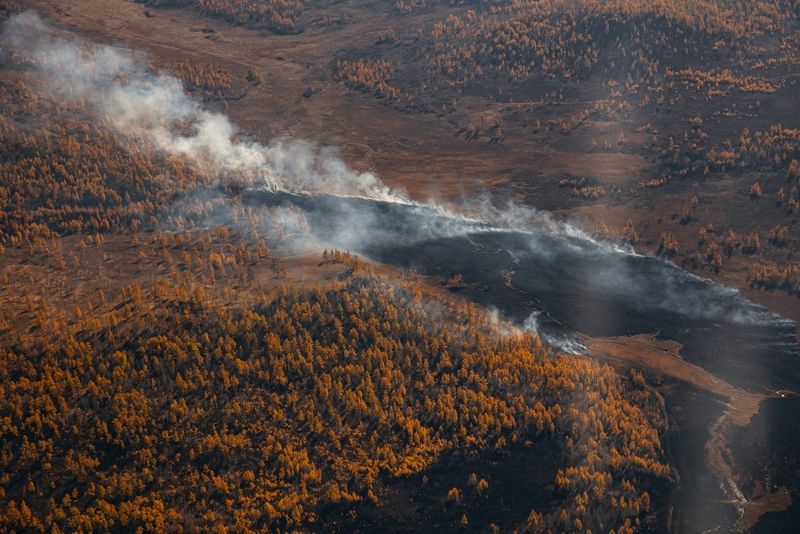 Больше 70 человек и вертолет тушат пожар в Баянаульском нацпарке